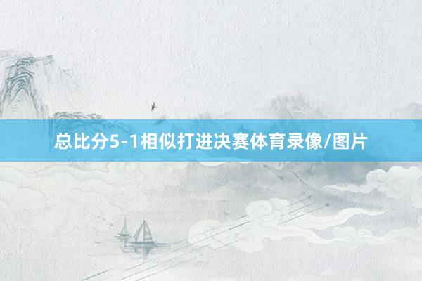 总比分5-1相似打进决赛体育录像/图片