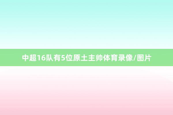 中超16队有5位原土主帅体育录像/图片
