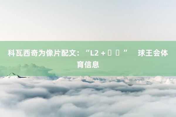 科瓦西奇为像片配文：“L2 + ⏹️”    球王会体育信息