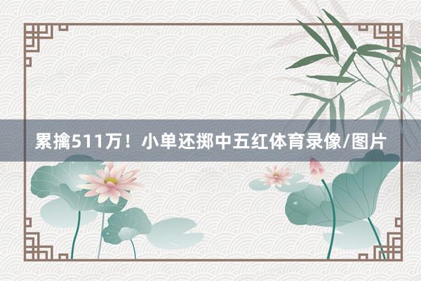 累擒511万！小单还掷中五红体育录像/图片
