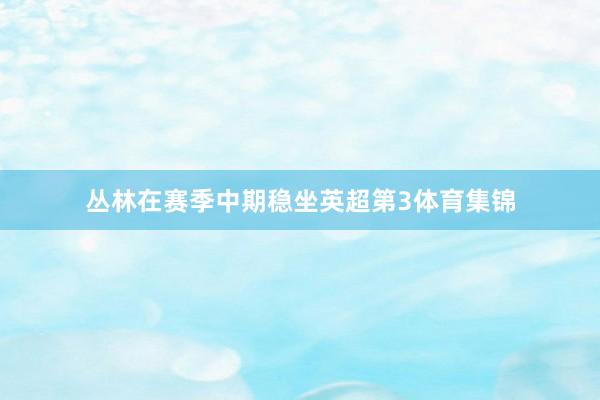 丛林在赛季中期稳坐英超第3体育集锦