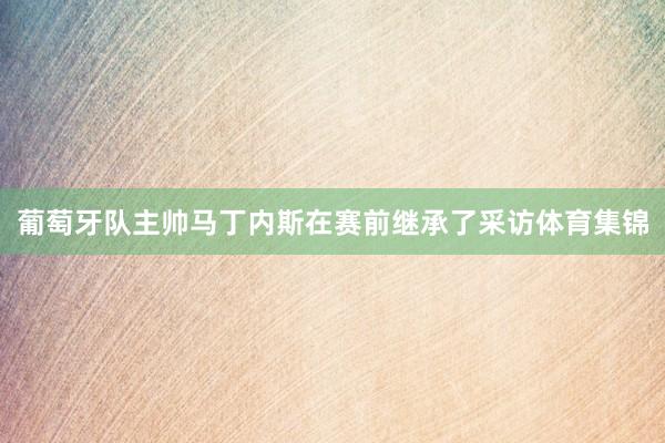 葡萄牙队主帅马丁内斯在赛前继承了采访体育集锦