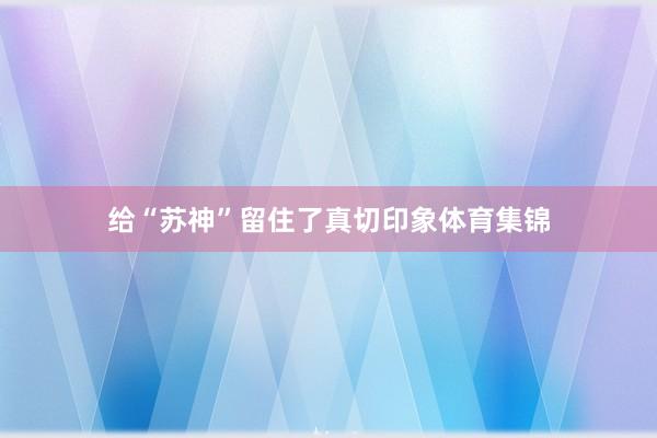 给“苏神”留住了真切印象体育集锦