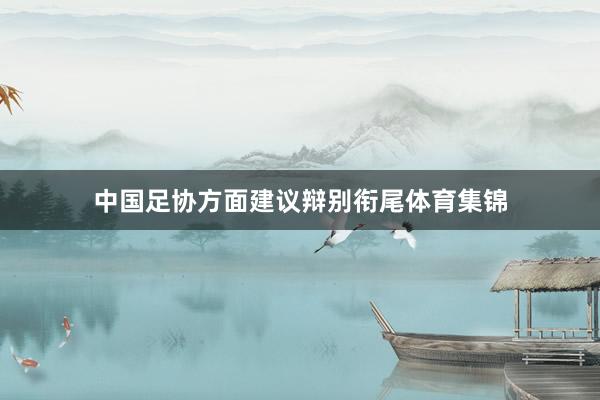 中国足协方面建议辩别衔尾体育集锦
