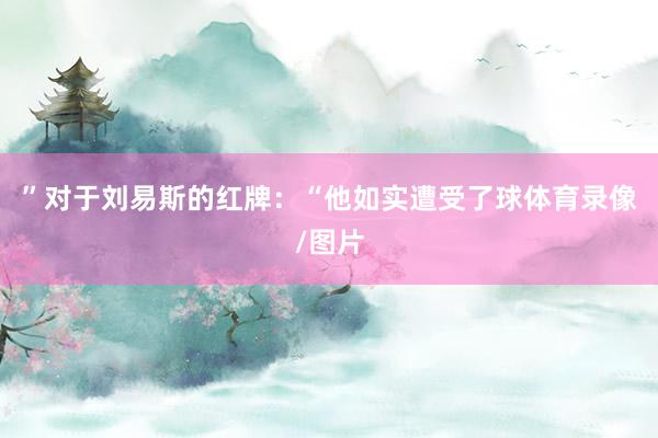 ”对于刘易斯的红牌：“他如实遭受了球体育录像/图片