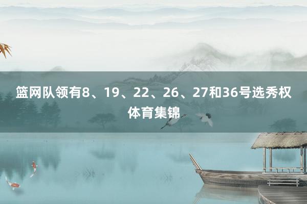 篮网队领有8、19、22、26、27和36号选秀权体育集锦