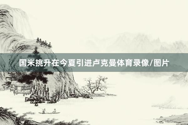 国米挑升在今夏引进卢克曼体育录像/图片