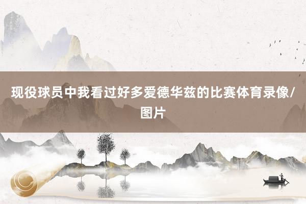 现役球员中我看过好多爱德华兹的比赛体育录像/图片