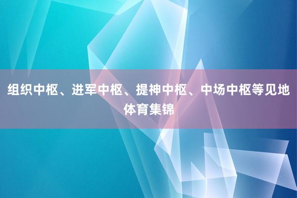 组织中枢、进军中枢、提神中枢、中场中枢等见地体育集锦