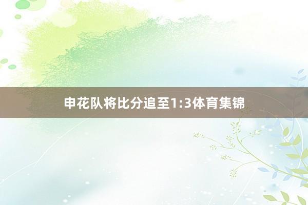 申花队将比分追至1:3体育集锦