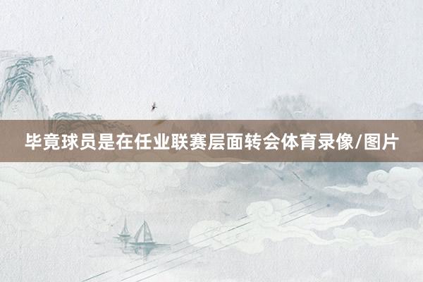 毕竟球员是在任业联赛层面转会体育录像/图片