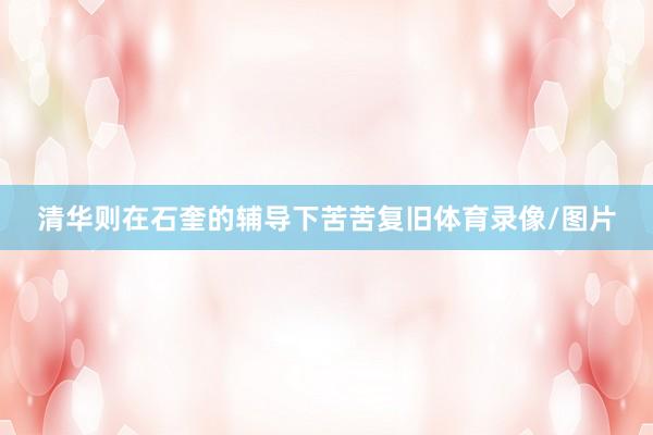 清华则在石奎的辅导下苦苦复旧体育录像/图片