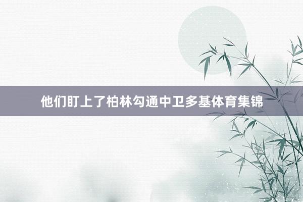 他们盯上了柏林勾通中卫多基体育集锦