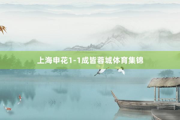 上海申花1-1成皆蓉城体育集锦