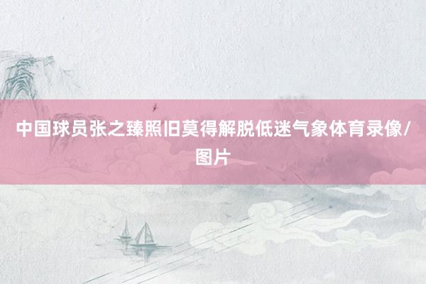 中国球员张之臻照旧莫得解脱低迷气象体育录像/图片