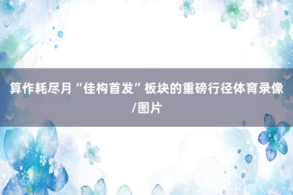 算作耗尽月“佳构首发”板块的重磅行径体育录像/图片