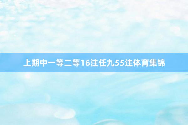 上期中一等二等16注任九55注体育集锦