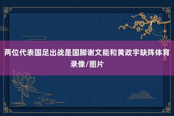两位代表国足出战是国脚谢文能和黄政宇缺阵体育录像/图片