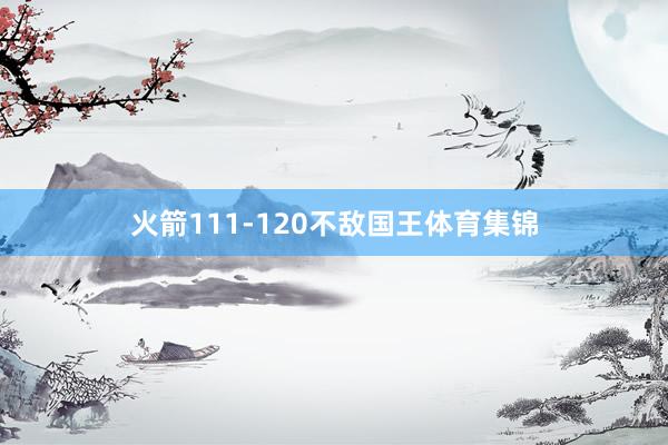 火箭111-120不敌国王体育集锦